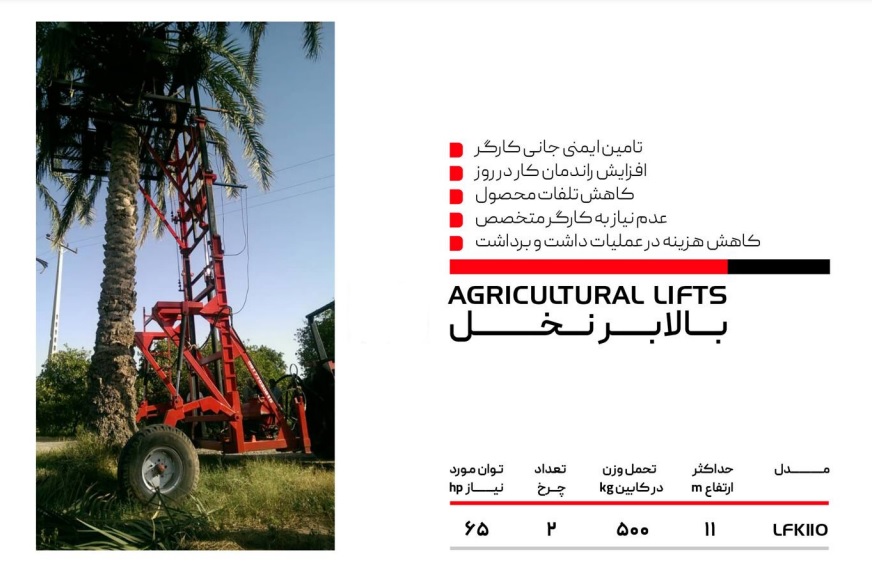 روش بالا رفتن از نخل