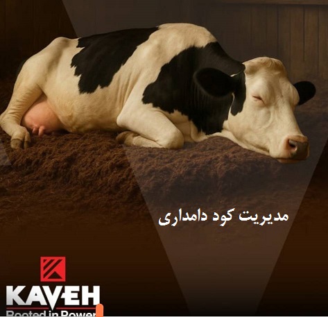 مدیریت کود دامداری
